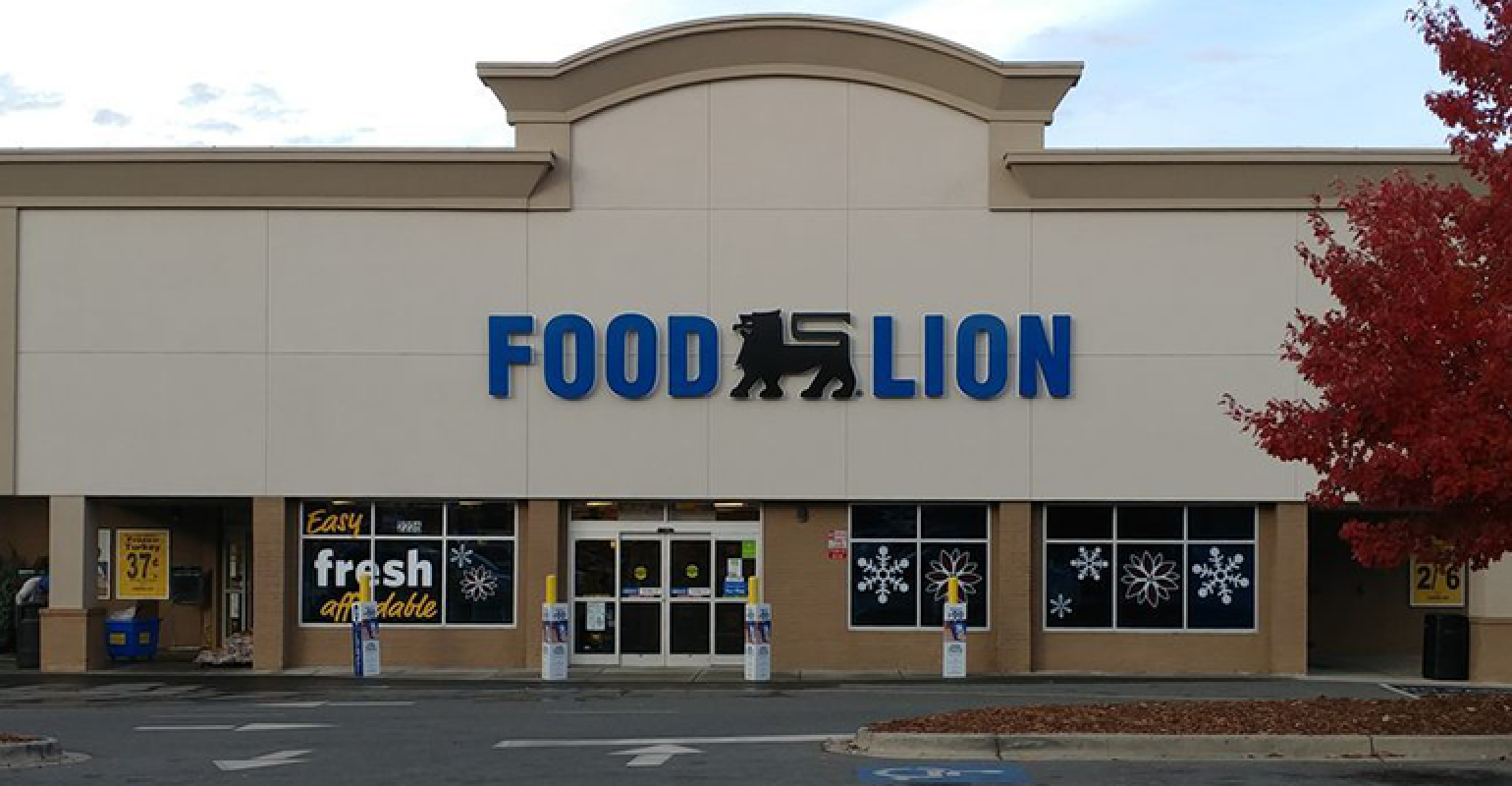 Food Lion |Farm fresh grocery remodeled into millions of revenue